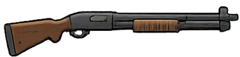 Shotgun